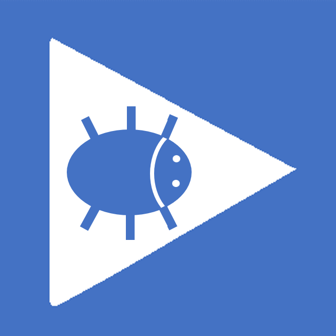 debug